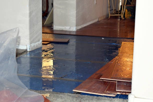 Professional Water Damage technician working in Westport, MA