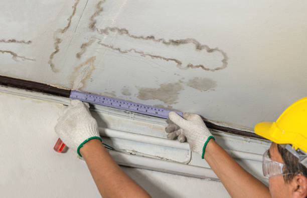 Reliable Water Damage contractor in Westport, MA by Water Damage Irwin